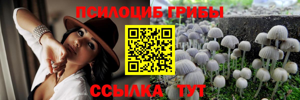 Псилоцибиновые грибы ЛСД  Псилоцибиновые грибы Cubensis  Вход с VPN  закладка  Анапа 